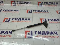 Амортизатор крышки (двери) багажника левый Peugeot 2008 9678317180