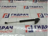 Амортизатор крышки (двери) багажника правый Peugeot 2008 9678317180