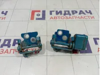 Петли двери задней правой Peugeot 207