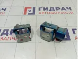 Петли двери задней правой Peugeot 207