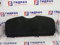 Полка (шторка) задняя Peugeot 207 8794RX