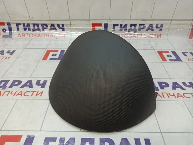 Накладка торпедо Peugeot 207 8209H2