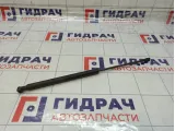 Амортизатор крышки (двери) багажника Peugeot 207 8731L7