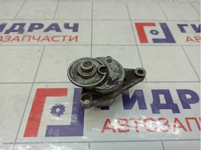 Ролик ручейкового ремня Peugeot 207 9685486880