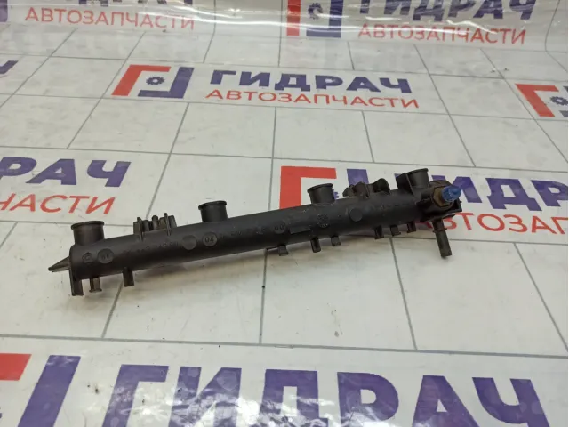 Топливная рампа (топливная рейка) Peugeot 207 198540