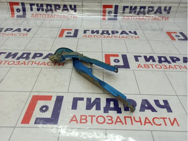 Петля капота правая Peugeot 207 791298