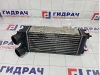 Интеркулер Peugeot 3008 9656503480