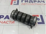 Патрубок интеркулера Peugeot 3008 9687511280