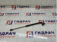Амортизатор крышки (двери) багажника правый Peugeot 3008 8731T4