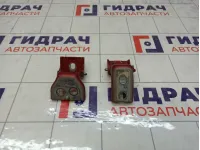 Петли двери передней правой Peugeot 3008