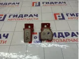 Петли двери задней левой Peugeot 3008