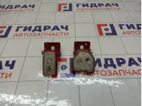 Петли двери задней левой Peugeot 3008