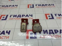 Петли двери задней правой Peugeot 3008