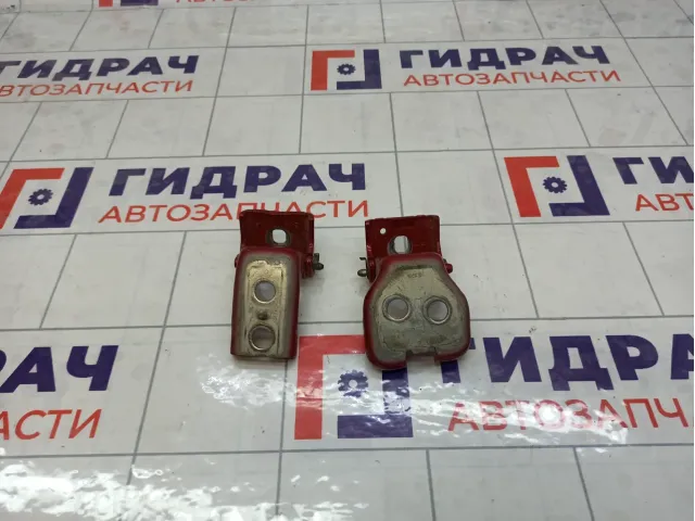 Петли двери задней правой Peugeot 3008