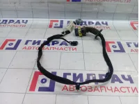 Проводка двери задней левой Peugeot 301 9803952280