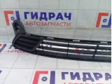 Решетка радиатора Peugeot 301 9676954180