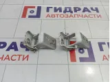 Петли двери задней левой Peugeot 301