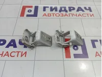 Петли двери задней левой Peugeot 301