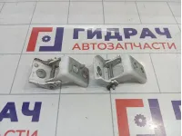 Петли двери задней правой Peugeot 301