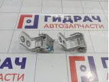 Петли двери задней правой Peugeot 301