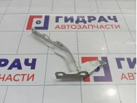 Петля капота правая Peugeot 301 9674797180