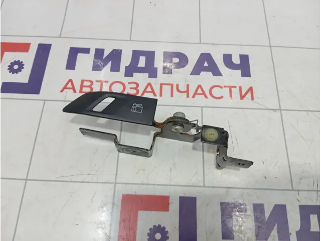 Ручка открывания лючка бензобака Peugeot 301 9676732080