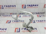 Петля багажника Peugeot 301 9675111480