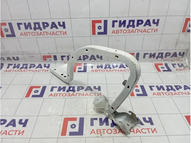 Петля багажника Peugeot 301 9675111480