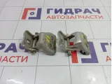 Петли двери передней правой Peugeot 307