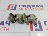 Петли двери задней правой Peugeot 307