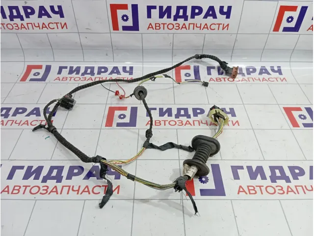 Проводка двери задней Peugeot 307 6559K1