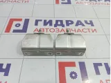 Петли двери багажника Peugeot 307 861371
