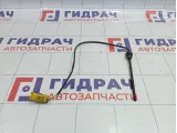 Датчик уровня масла Peugeot 307 1131G2