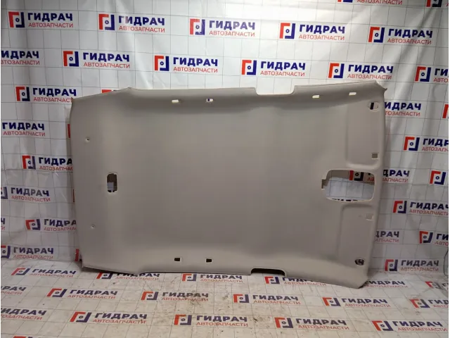 Обшивка потолка Peugeot 307 8331AW