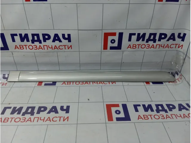 Накладка двери задней правой Peugeot 307 9634011277