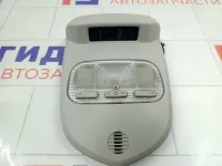 Плафон салонный верхний Peugeot 308 9664522280