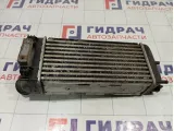 Интеркулер Peugeot 308 9656503480