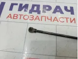 Амортизатор крышки (двери) багажника Peugeot 308 8731Q6