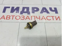 Датчик температуры охлаждающей жидкости Peugeot 308 9810048680