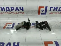 Петли двери передней левой Peugeot 308