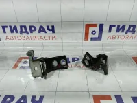 Петли двери задней правой Peugeot 308