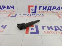 Катушка зажигания Peugeot 308