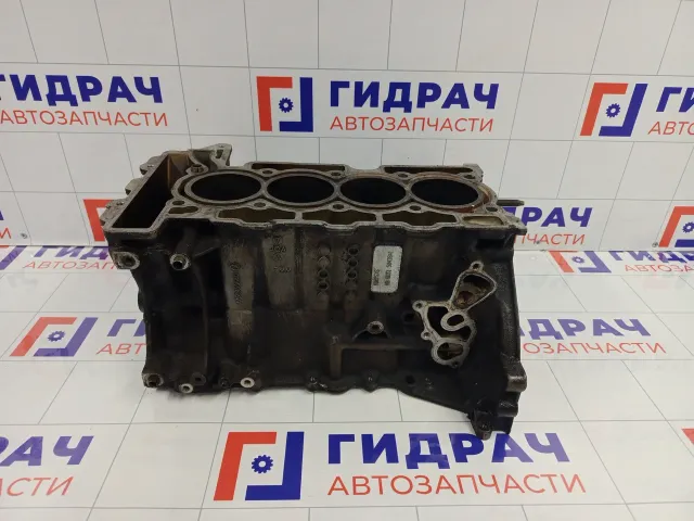 Блок цилиндров Peugeot 308 MBGU315042841