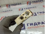 Клапан кондиционера Peugeot 308 6461L9
