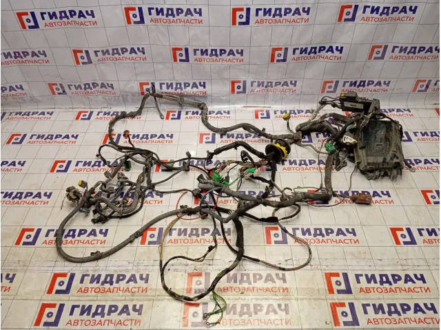 Проводка подкапотная Peugeot 308 (T7) 6601F4