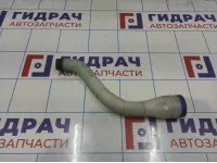 Горловина бачка омывателя Peugeot 308 (T7) 6439H0
