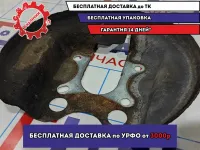 Пыльник тормозного диска Peugeot 308 4209E3.