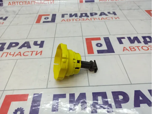 Крепление (болт) запасного колеса Peugeot 308 7603R2