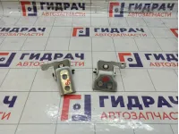 Петли двери Peugeot 308