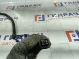 Проводка (коса) Peugeot 308